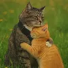orange.cat.leva
