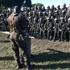 peedrobrito170