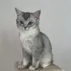 asaaaaaaa9