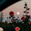 ..♥️ستوريات حب