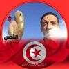 belhajmohamed868