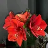 nafnafkok