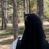 aya4a88