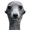 www.r9