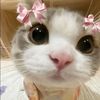 cindy20larry