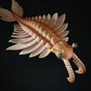 anomalocaris_543