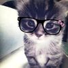 its_lkc