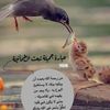 usera2iw5bxwn3