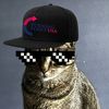 droidzandbrix