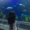 th_thuha15