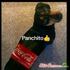 user024770125