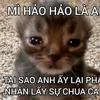 tobi_123haha