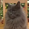 deepest_winter