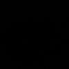 bzsarosie