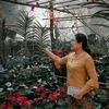 khin.than658