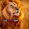 user1552515978404