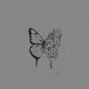 butterflyx43