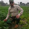 nurhossain6887