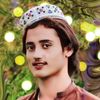 hamginwazir302