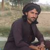 darwishdarwish06