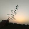 itx_haseeb013
