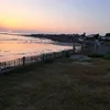 robin_vssl