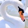 user1991620660005