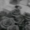 _sun_yn1