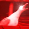 that_penguin_360no_scope