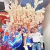 quynh.dinh7