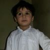 naif.1431