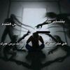 rahmarashed35