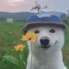 notobowf