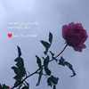 user5381331304816