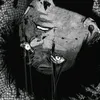 eoin_dino
