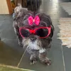 anaazkkkj