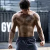fensfit