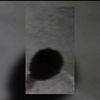 2.2.6.8.8