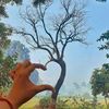 hariadhikari472