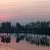 tn_12101