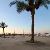george_mc37