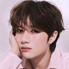 teddygyu_