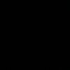 cami_04.g