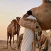 mohammed_alhady_98