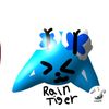 raintiger_guess