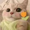 .um407