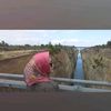 wardaroselily
