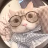 anmaikobeo_._