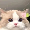 nhiphann5
