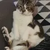 fluffy_lucky4u